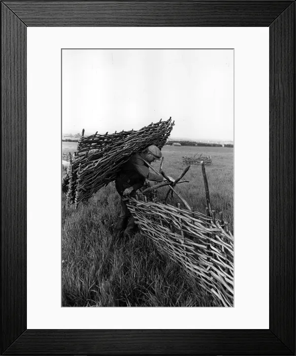 Framed Print : Heavy Load Framed Print : Heavy Load
