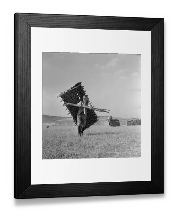 Framed Print : Unending Task Framed Print : Unending Task
