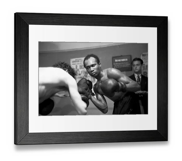 Framed Print : Leonard Vs Williamson Framed Print : Leonard Vs Williamson