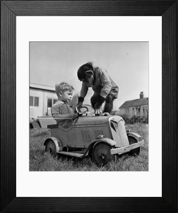 Framed Print : Baron On Board Framed Print : Baron On Board
