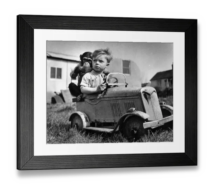 Framed Print : Animal Friends Framed Print : Animal Friends