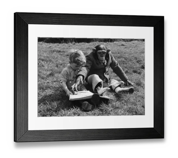 Framed Print : Family Pet Framed Print : Family Pet