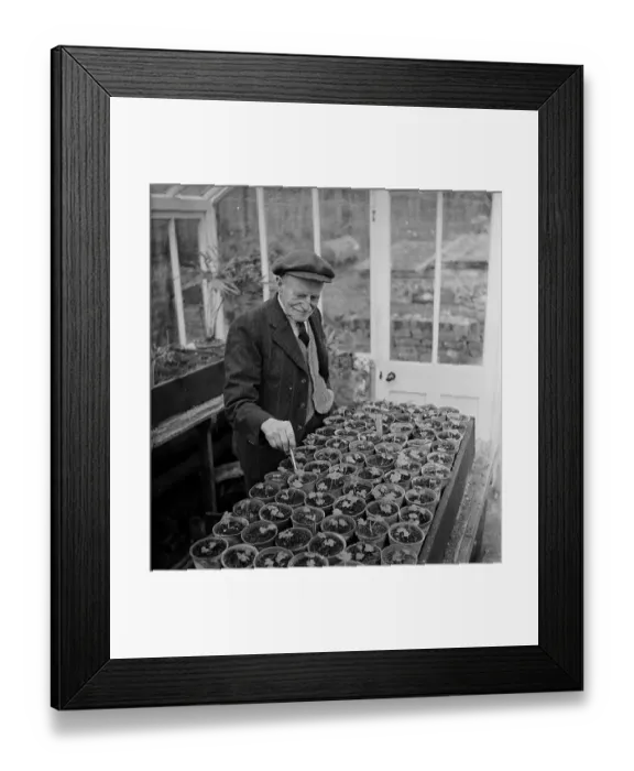 Framed Print : Delphinium Man Framed Print : Delphinium Man
