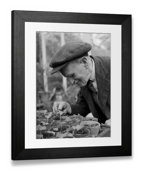 Framed Print : Watkin Samuel Framed Print : Watkin Samuel