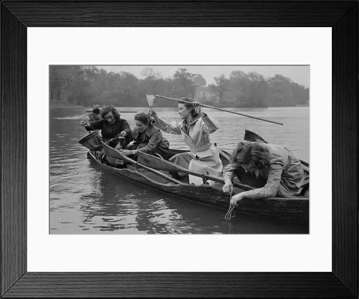 Framed Print : Freshwater Studies Framed Print : Freshwater Studies
