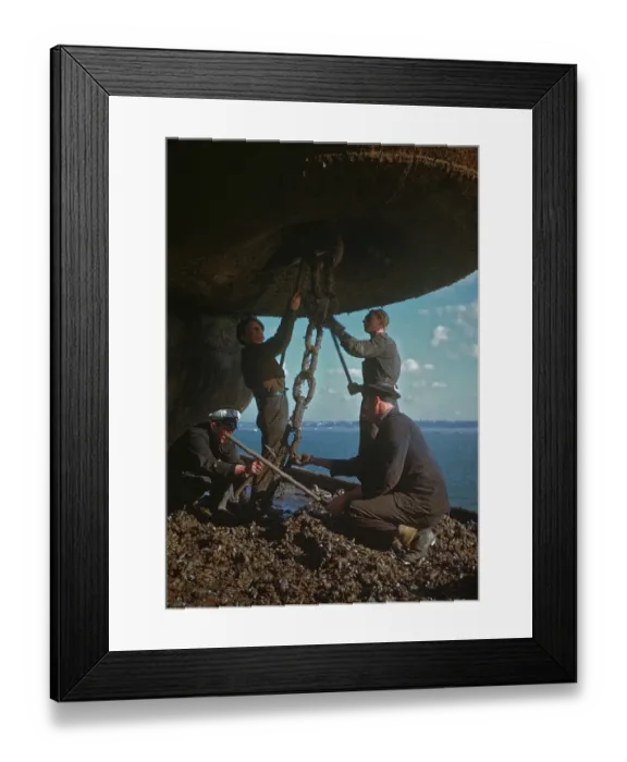 Framed Print : Cleaning Buoy Framed Print : Cleaning Buoy