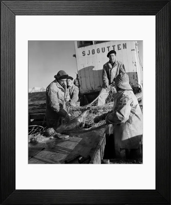 Framed Print : Codfish Trawling