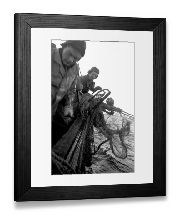 Framed Print : Net Hauling Framed Print : Net Hauling