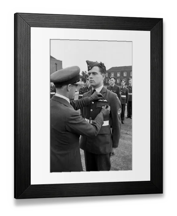 Framed Print : Pilots Wings Framed Print : Pilots Wings