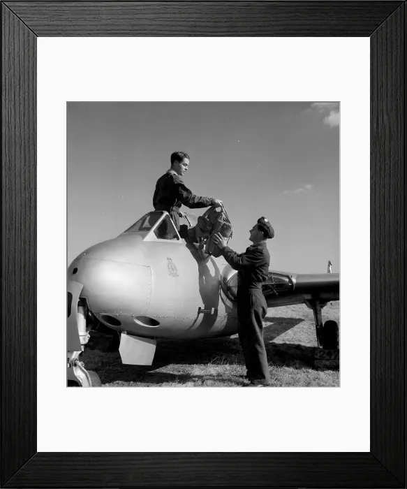 Framed Print : Vampire Flyer Framed Print : Vampire Flyer