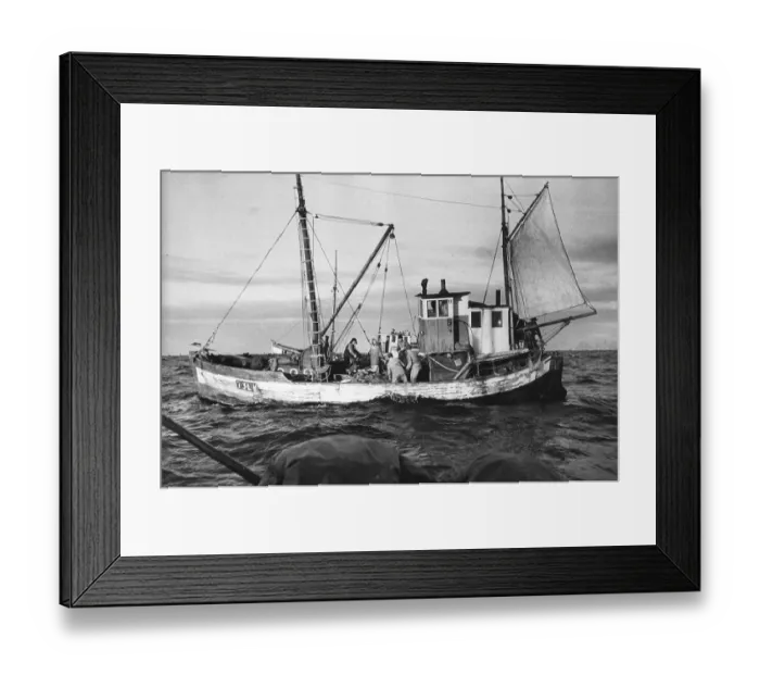 Framed Print : Cod Trawling Framed Print : Cod Trawling