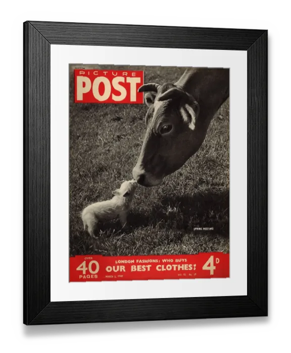 Framed Print : Spring Meeting