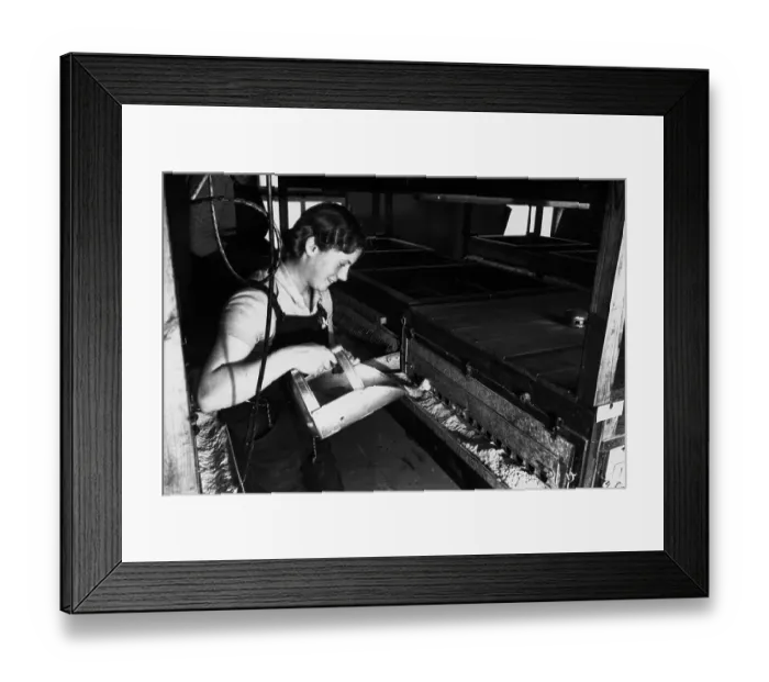Framed Print : Women's Land Army Framed Print : Women's Land Army