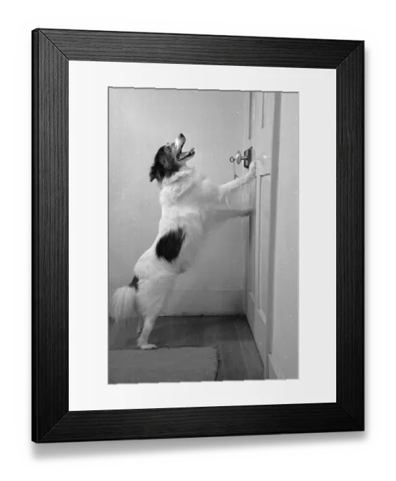 Framed Print : Shut That Door Framed Print : Shut That Door