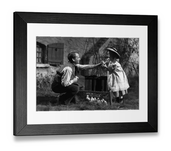 Framed Print : Sharing Chicks Framed Print : Sharing Chicks