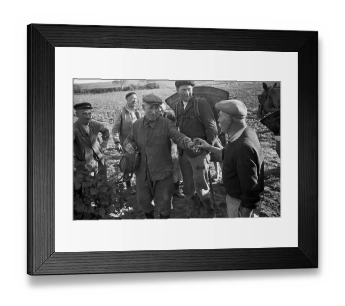 Framed Print : Cognac Break Framed Print : Cognac Break