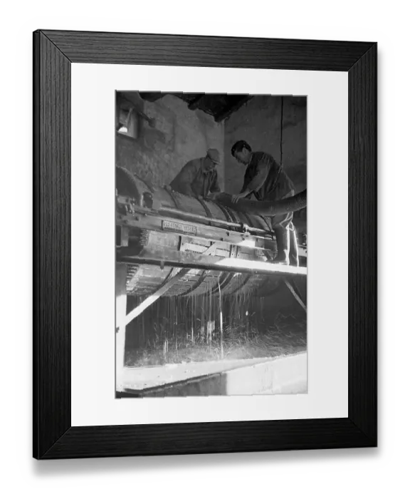 Framed Print : Cognac Press Framed Print : Cognac Press
