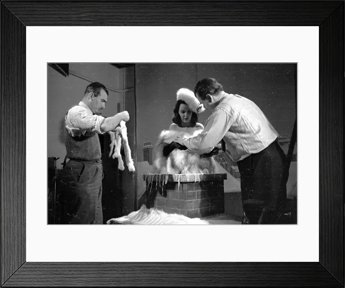 Framed Print : Christmas Photo Framed Print : Christmas Photo