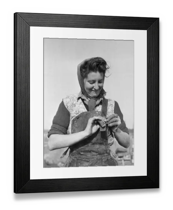 Framed Print : Calico Bandages Framed Print : Calico Bandages