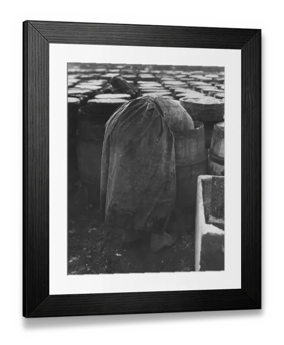 Framed Print : Herring Packer Framed Print : Herring Packer
