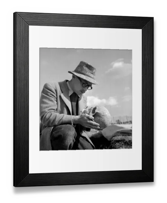 Framed Print : Saxon Skull Framed Print : Saxon Skull