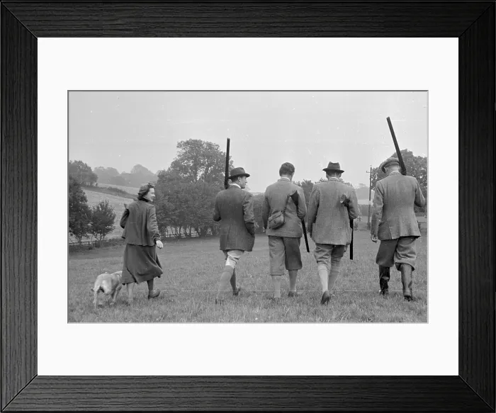 Framed Print : Looking For Partridge Framed Print : Looking For Partridge
