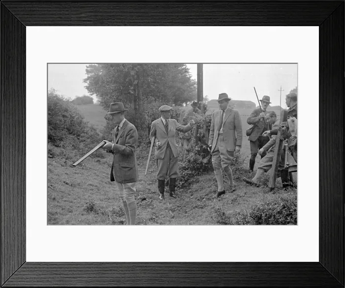 Framed Print : In Search Of Prey Framed Print : In Search Of Prey