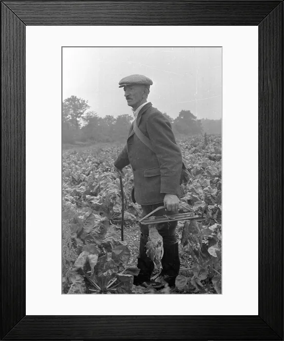 Framed Print : Carrying Game Framed Print : Carrying Game