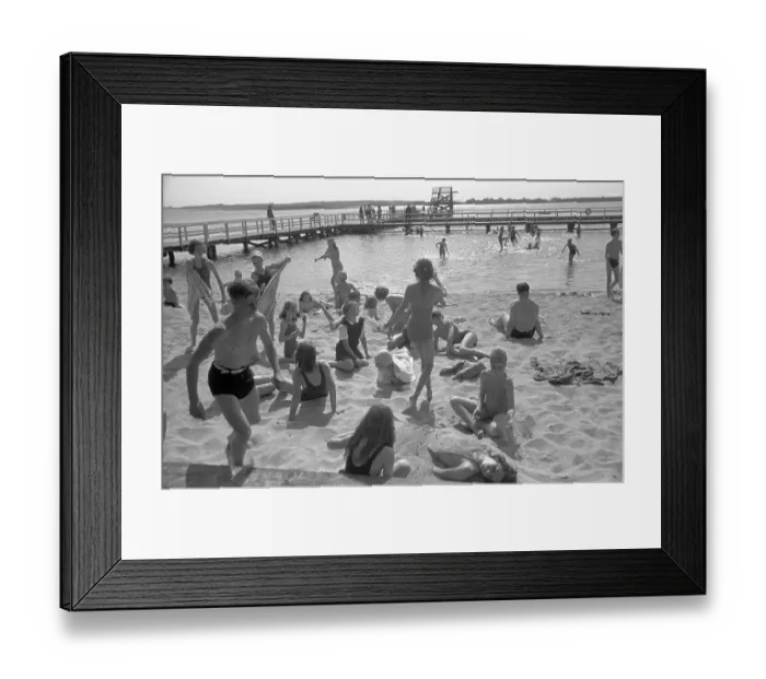 Framed Print : Fun In The Sun Framed Print : Fun In The Sun