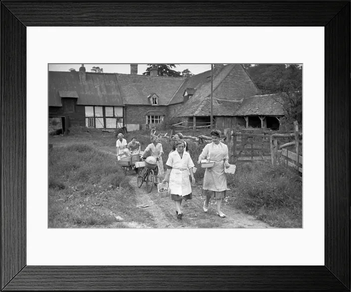 Framed Print : Canning Club Framed Print : Canning Club
