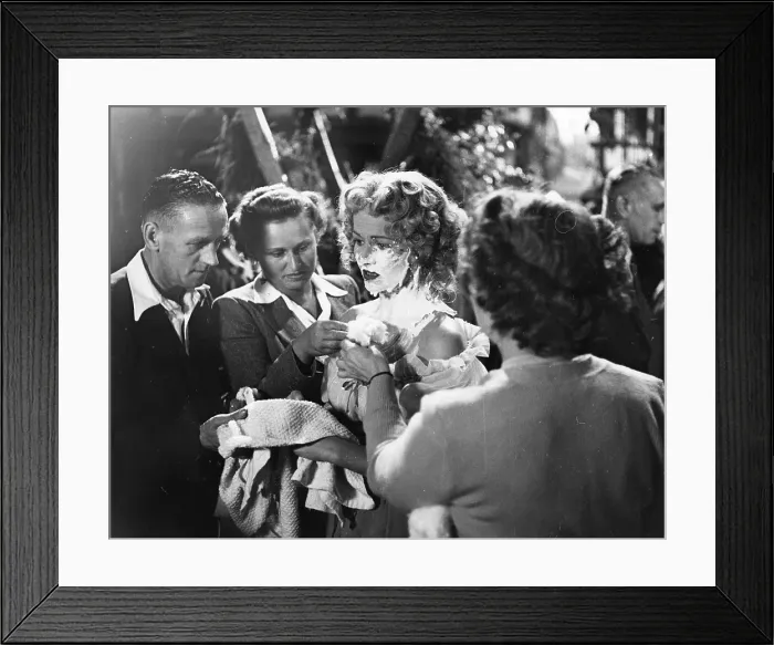 Framed Print : Cardboard Cavalier Framed Print : Cardboard Cavalier