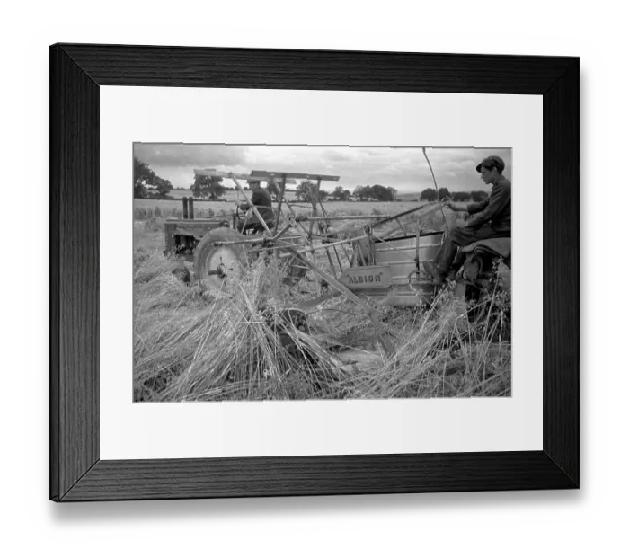 Framed Print : Harvesting Machine Framed Print : Harvesting Machine