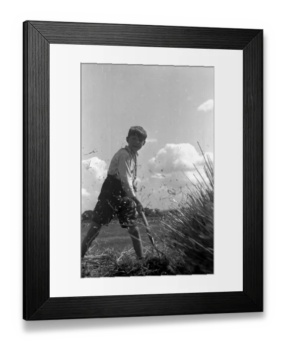 Framed Print : Young Farmer Framed Print : Young Farmer
