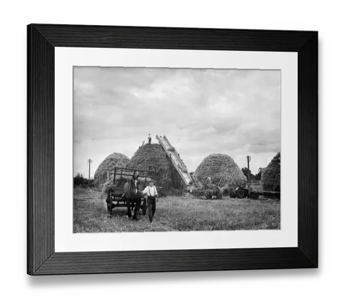 Framed Print : Giant Haystacks Framed Print : Giant Haystacks
