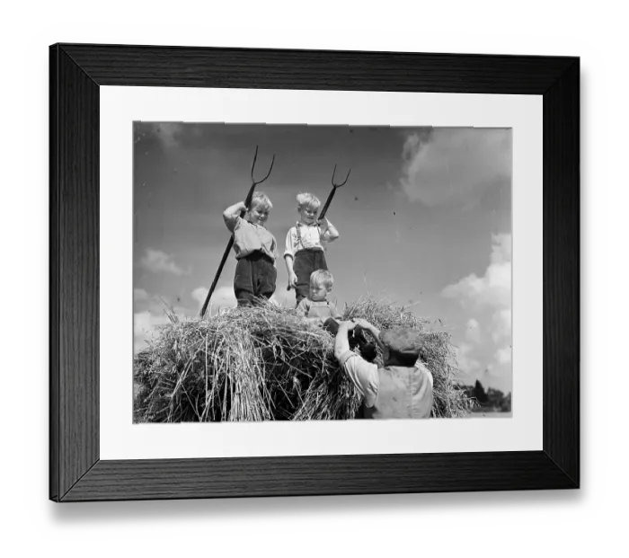 Framed Print : Top Of The World Framed Print : Top Of The World