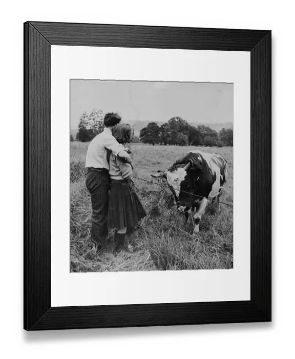 Framed Print : Land Helpers Framed Print : Land Helpers