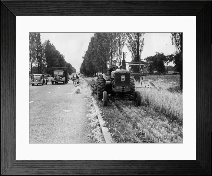 Framed Print : Roadside Harvest Framed Print : Roadside Harvest