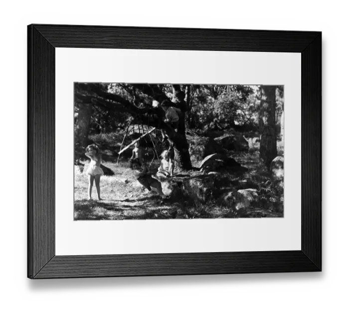 Framed Print : Summertime Framed Print : Summertime