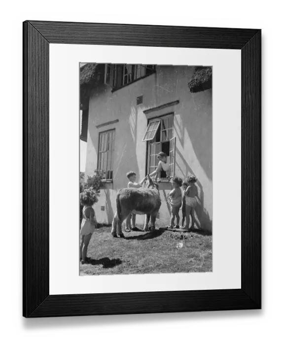 Framed Print : Feeding The Donkey Framed Print : Feeding The Donkey