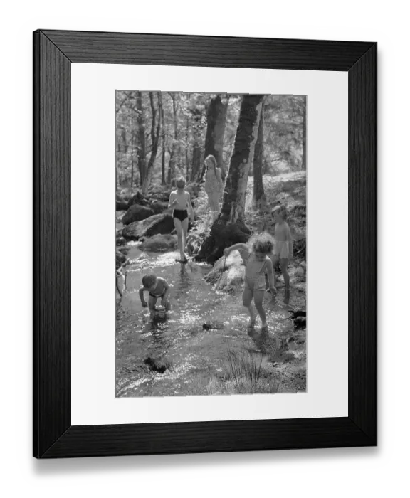 Framed Print : Woodland Adventure Framed Print : Woodland Adventure