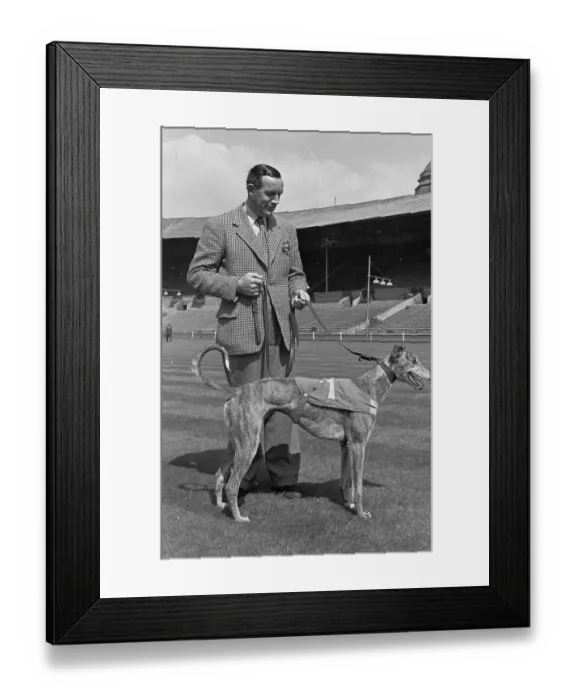 Framed Print : Racing Dog