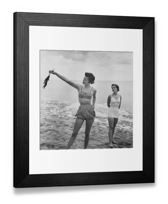 Framed Print : Sea Fashion Framed Print : Sea Fashion