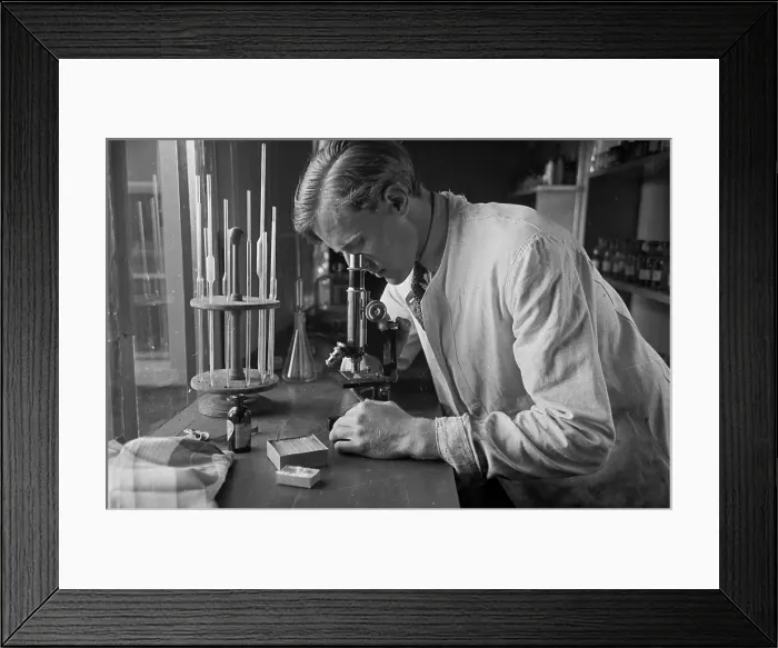 Framed Print : Quality Checking Framed Print : Quality Checking