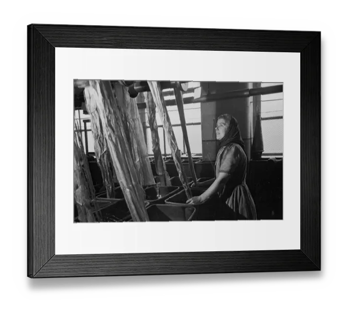 Framed Print : Doubling Flax Framed Print : Doubling Flax