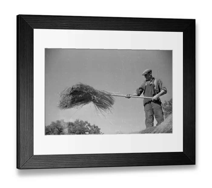 Framed Print : Stacking Flax Framed Print : Stacking Flax