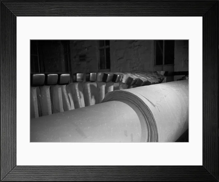 Framed Print : Beetling Damask Framed Print : Beetling Damask