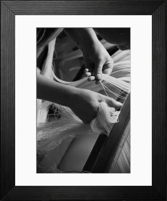 Framed Print : Handling Flax Framed Print : Handling Flax
