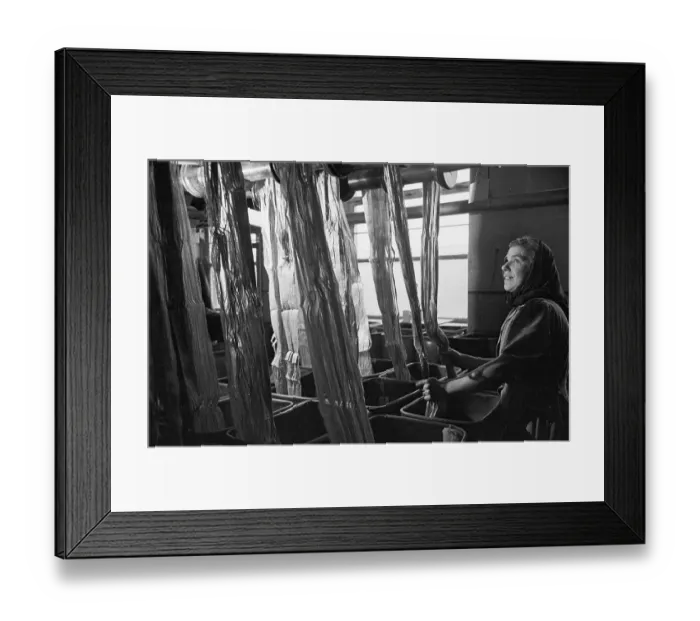 Framed Print : Doubling Flax Framed Print : Doubling Flax