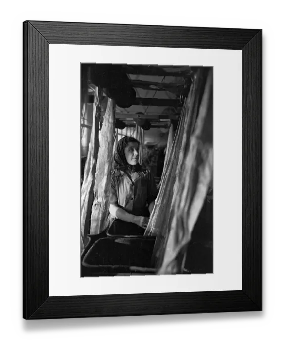 Framed Print : Doubling Flax Framed Print : Doubling Flax