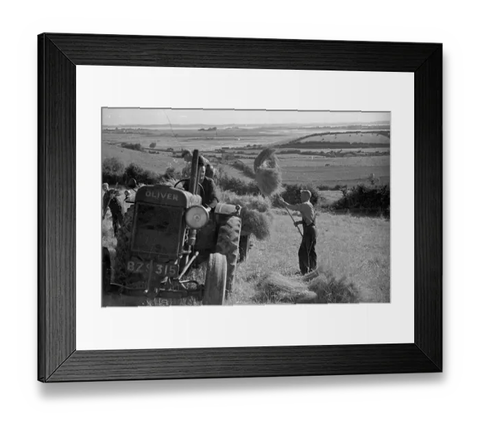 Framed Print : Loading Flax Framed Print : Loading Flax